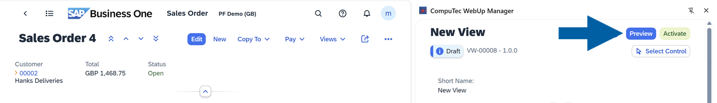 screen showing preview the view action