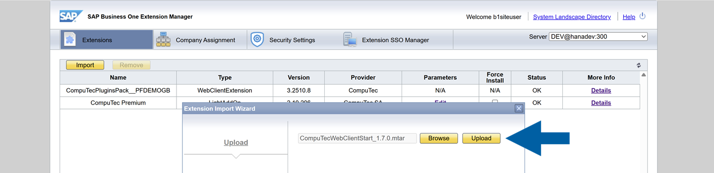 A help screen showing how to choose the file and send it to the extension manager