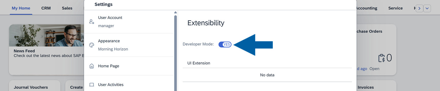 A help screen showing where to find Developer Mode in SAP Business One Web Client