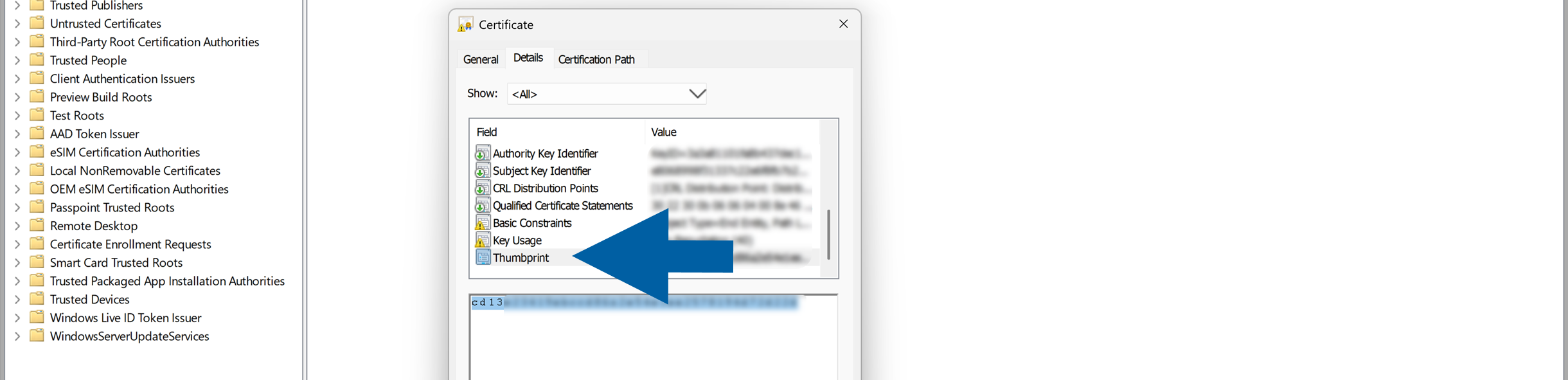 Certificate dialog on the Details tab with the Thumbprint field selected and its certificate value displayed below; a large blue arrow points to the Thumbprint entry, while the Windows Certificate Store navigation tree is visible in the background.