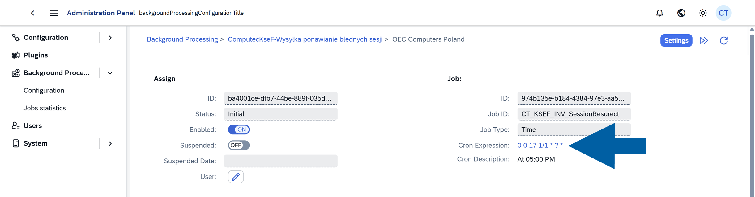 Expanded company assignment settings with the Cron Expression option visible