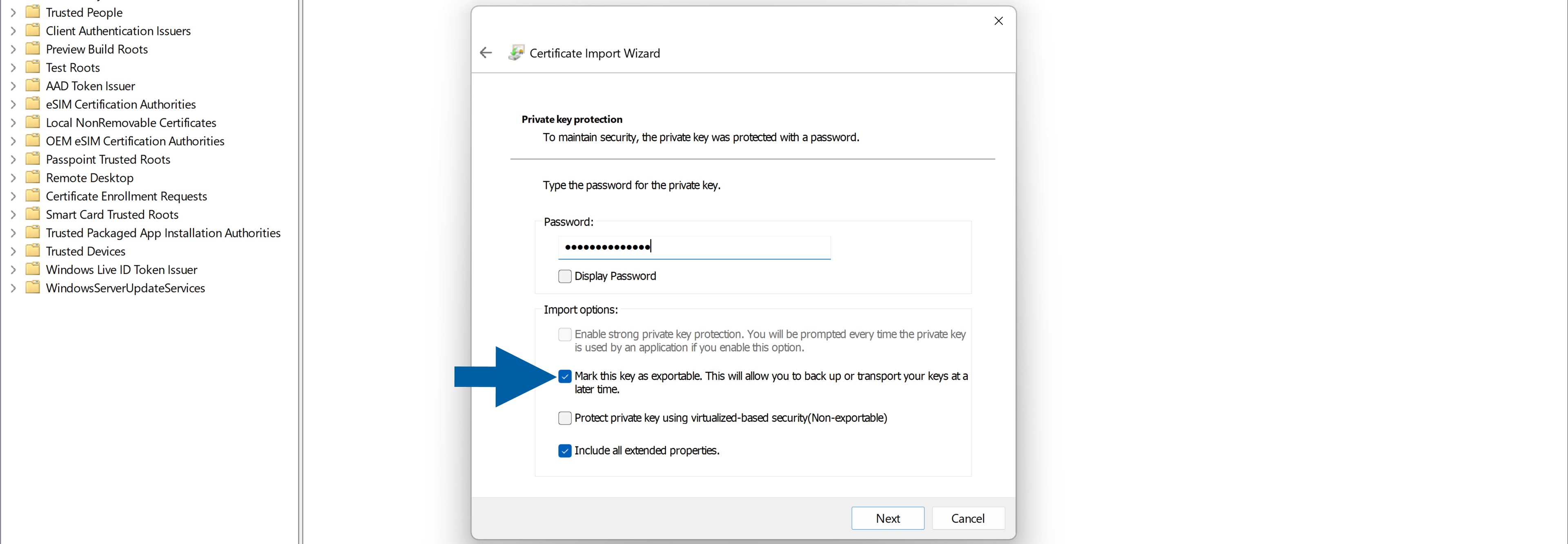 Certificate Import Wizard Private key protection page showing a masked password field, the Mark this key as exportable and Include all extended properties options selected, and the Next and Cancel buttons. A blue arrow highlights the exportable option. The calm instructional dialog appears over the Windows certificate management console.