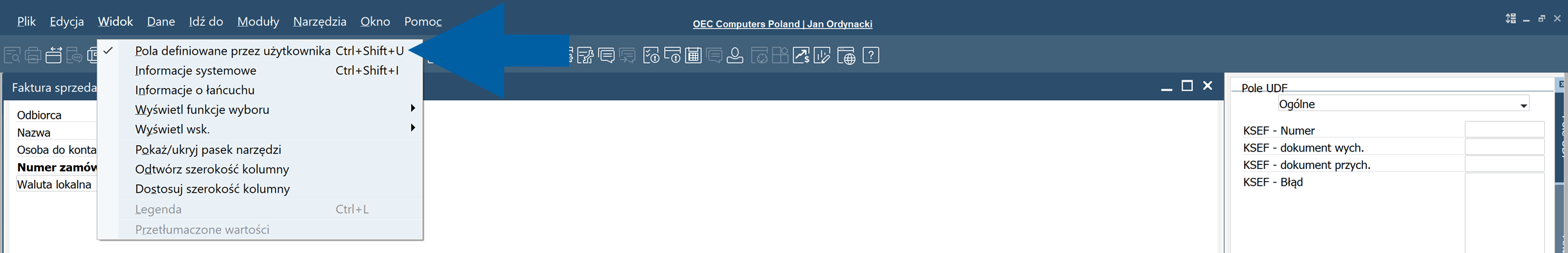 SAP Business One View menu with the UDF Fields option selected.