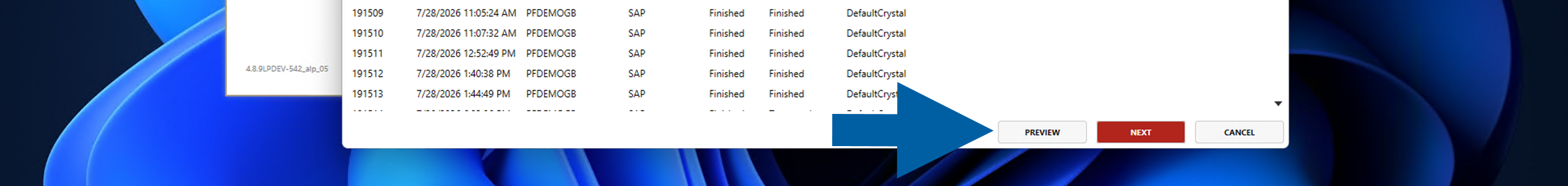 Request Cleanup Wizard filter screen with the Preview button