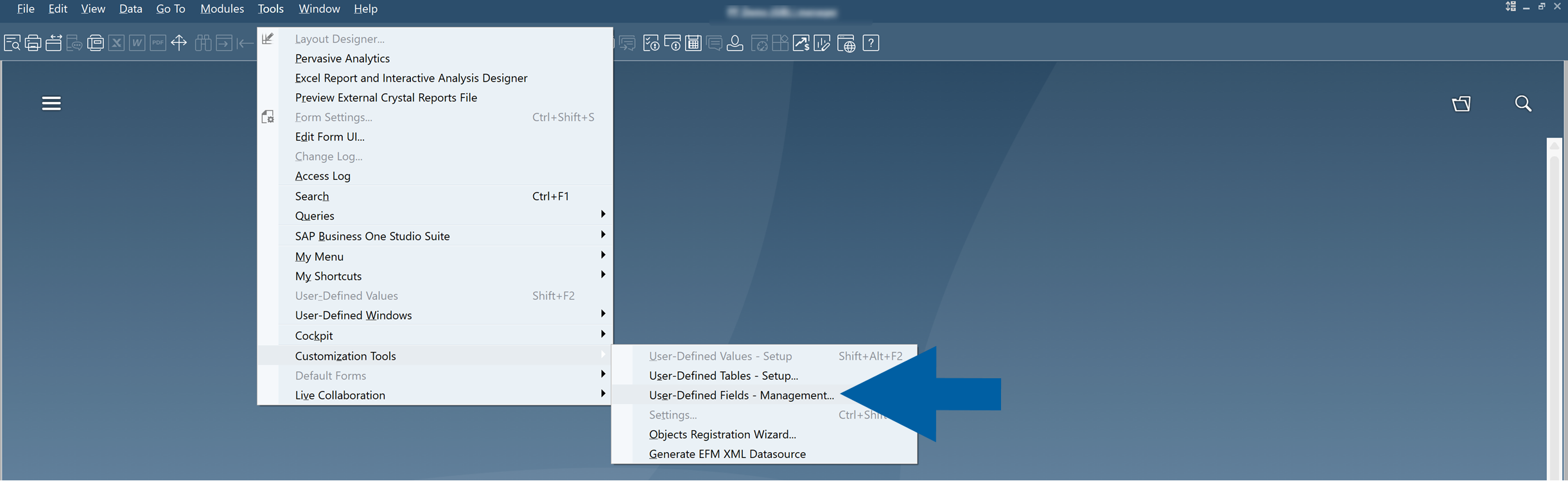 SAP Business One Customization Tools menu showing Tools > Customization Tools > User-Defined Fields - Management