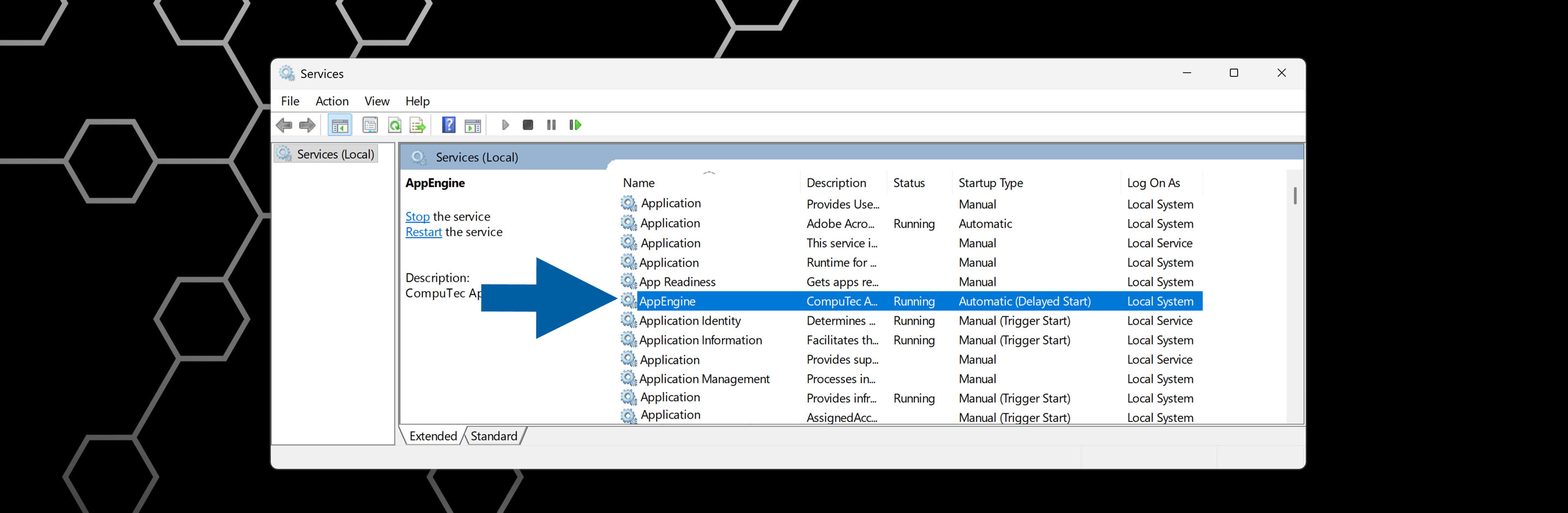 check in services if CompuTec AppEngine is running