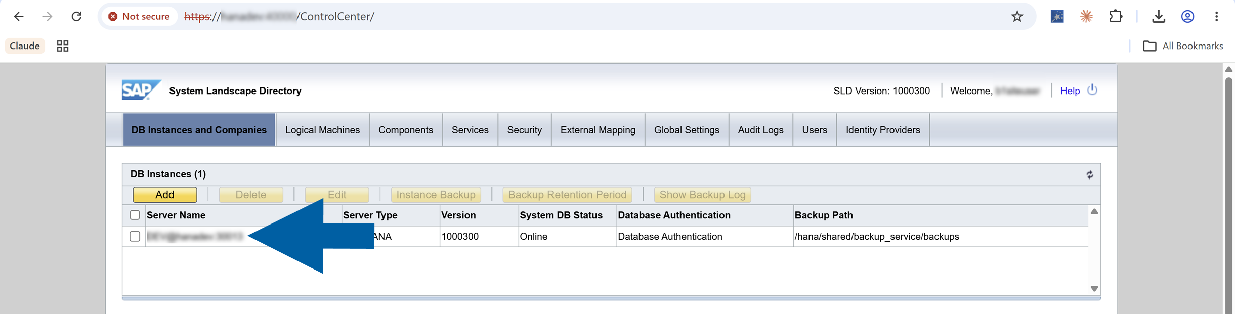 System Landscape Directory interface showing DB Instances and Companies section with Server Name column displaying database connection details in TenantName@DatabaseServer format