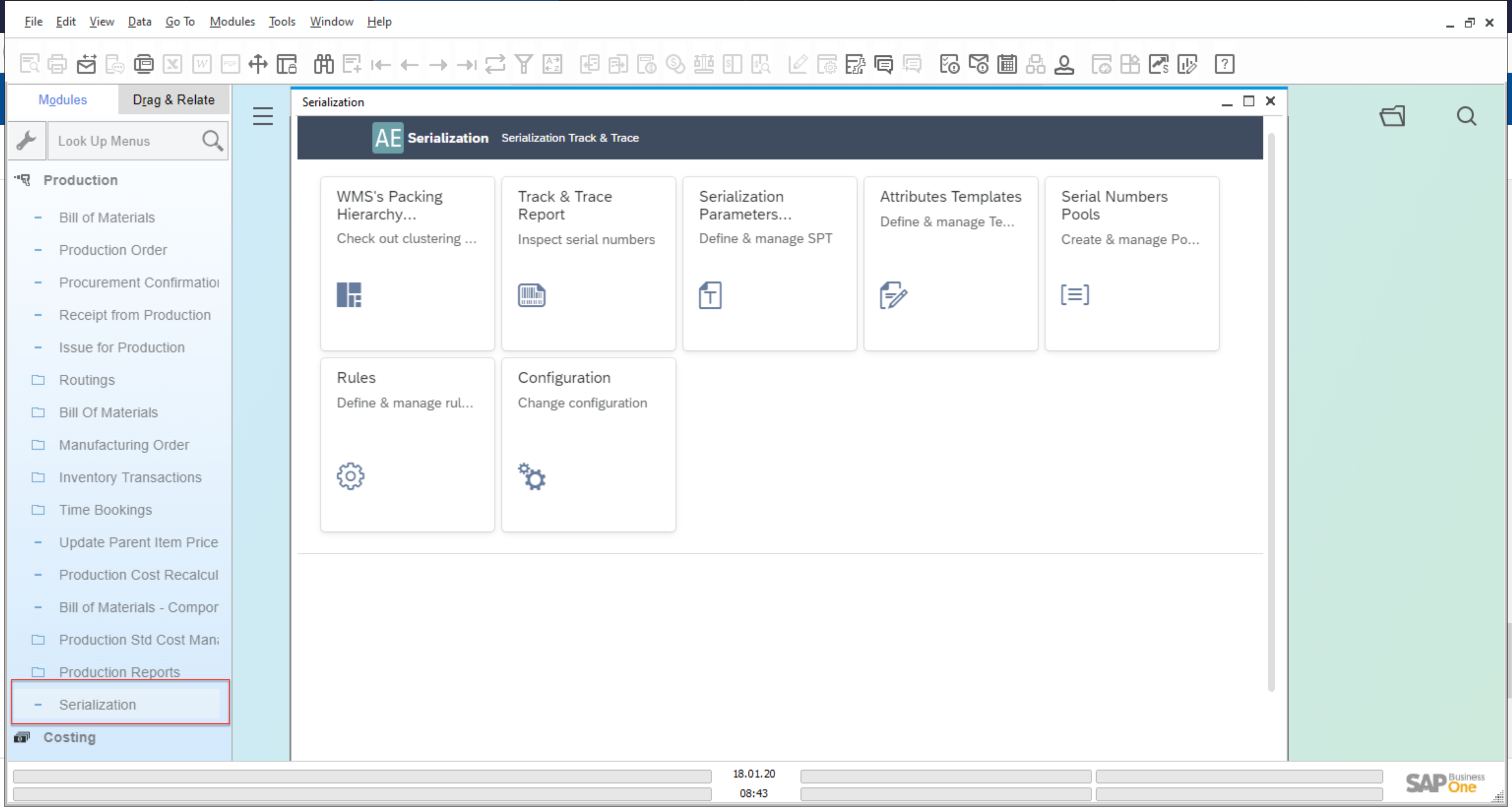 Serialization Plugin (from inside the CompuTec ProcessForce)