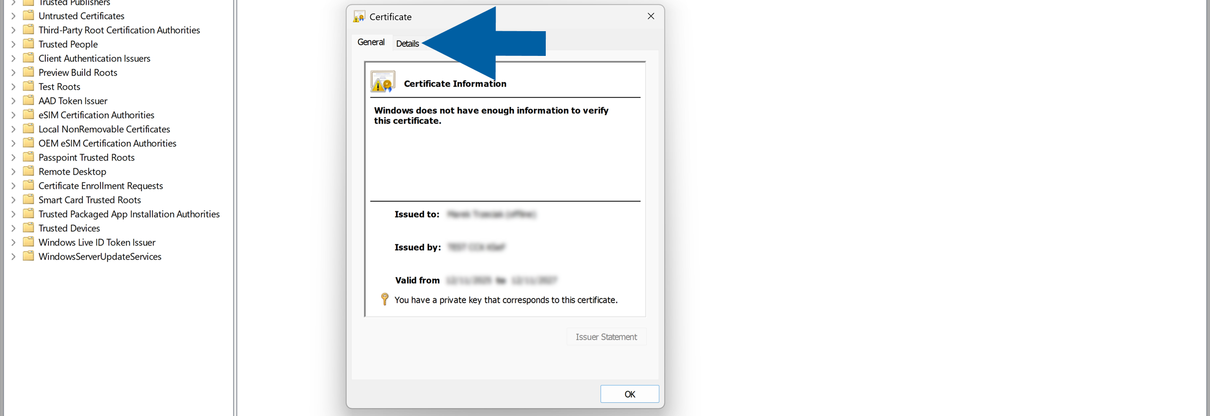 Certificate dialog open on the Details tab, highlighted by a large blue arrow. The dialog displays Certificate Information, the message Windows does not have enough information to verify this certificate, certificate issuer and validity details, and a notice that a private key corresponds to the certificate. The Windows certificate store tree is visible in the background, creating a clear instructional setup.