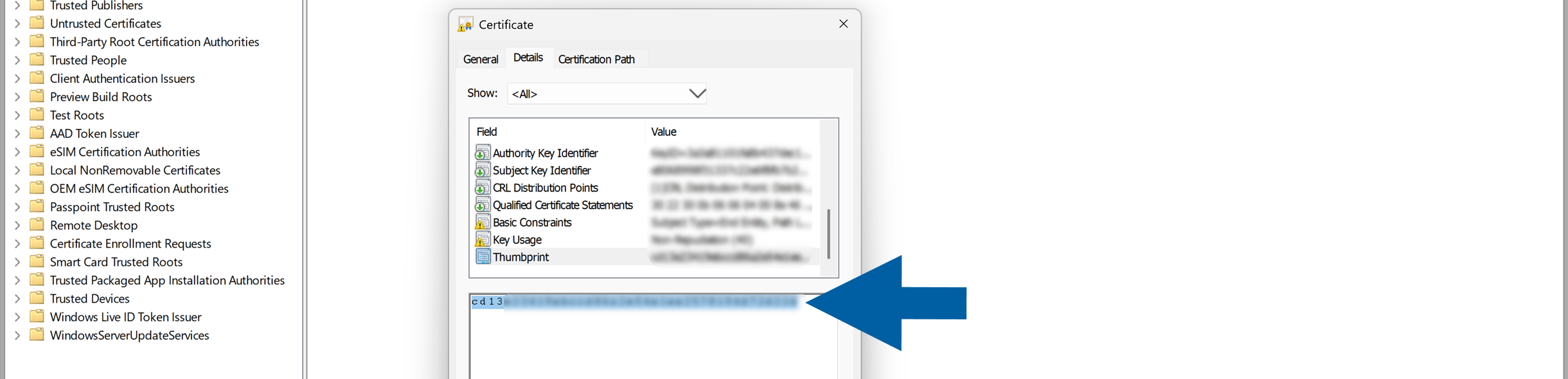Windows Certificate dialog on the Details tab with the Thumbprint field selected and its certificate value highlighted in the lower pane. A large blue arrow points to the selected thumbprint value. The certificate store navigation tree is visible on the left, creating a clear instructional setup.