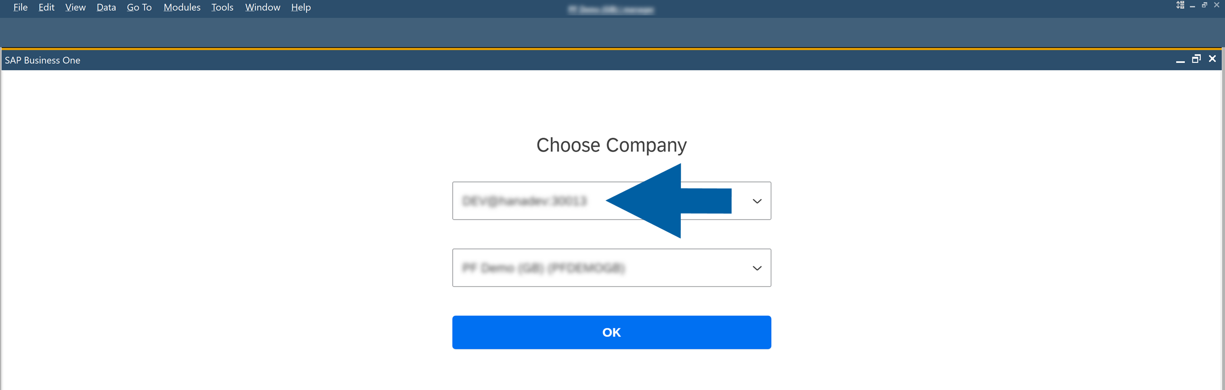 SAP Business One login screen showing the server address at the top