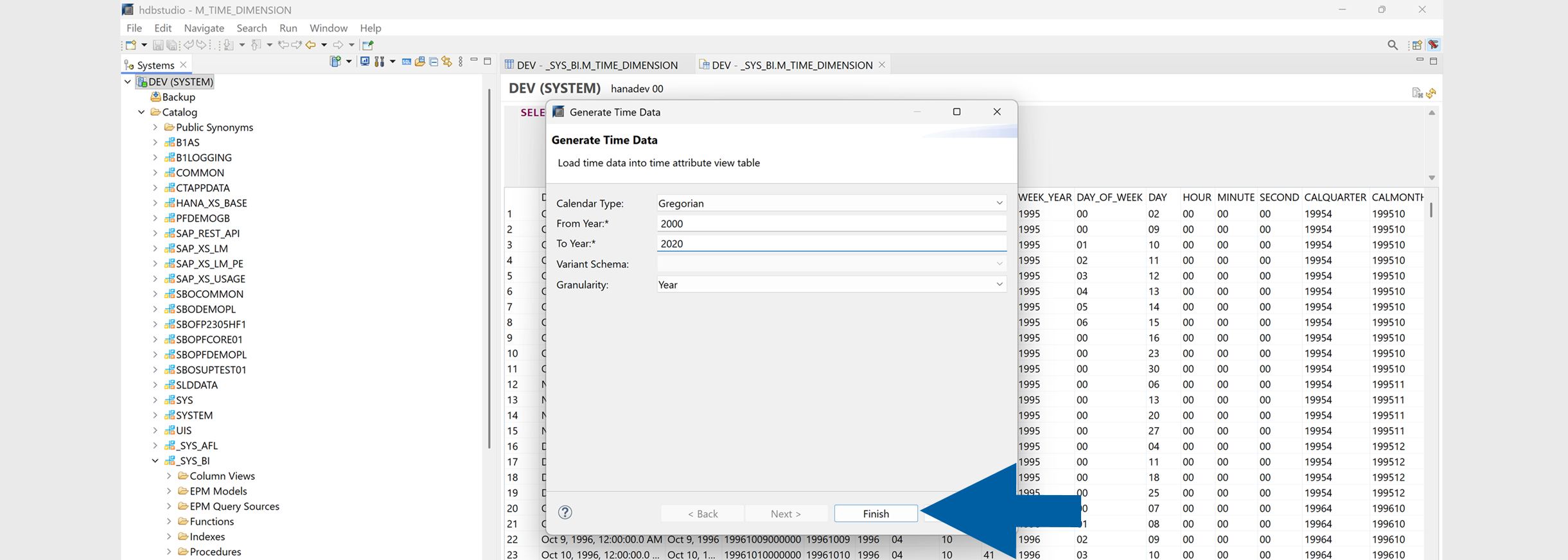 Generate Time Data wizard page with date range and granularity settings ready to finish creating M_TIME_DIMENSION records